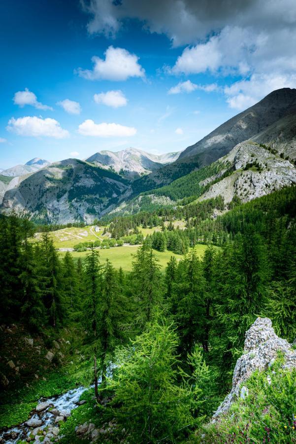 Verdon Vacances Saint-Andre-les-Alpes Exterior photo